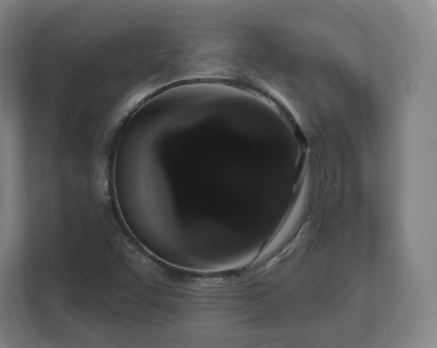X0000112161455200908211424