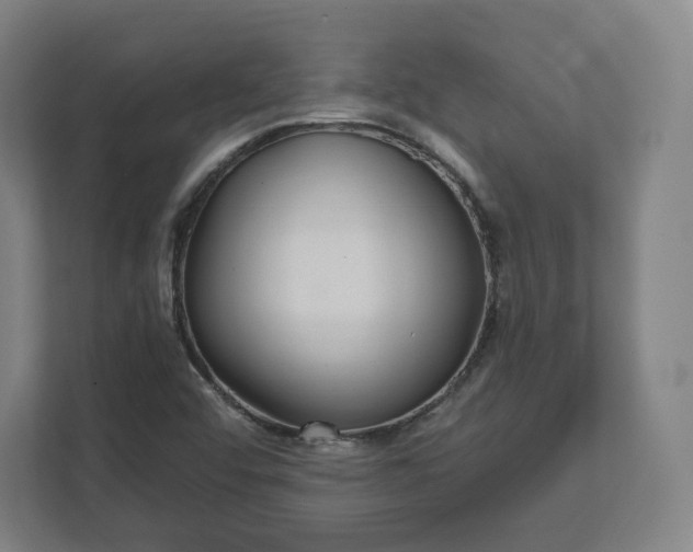X0000112161456200908211424