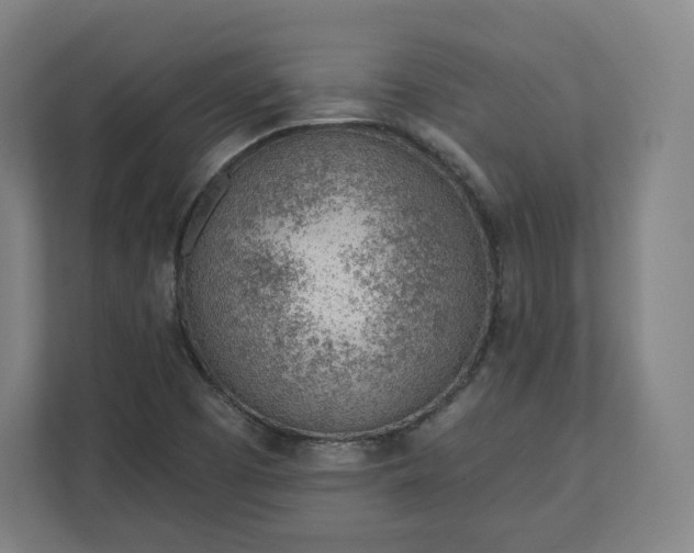 X0000112161457200908211424