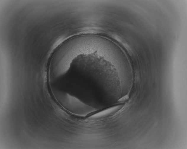 X0000112161459200908211424