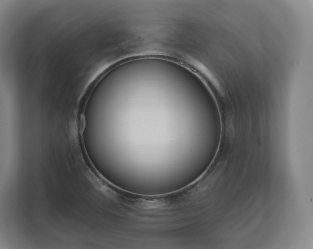X0000112161460200908211424