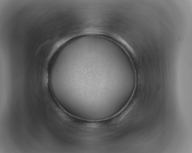 X0000112161461200908211424