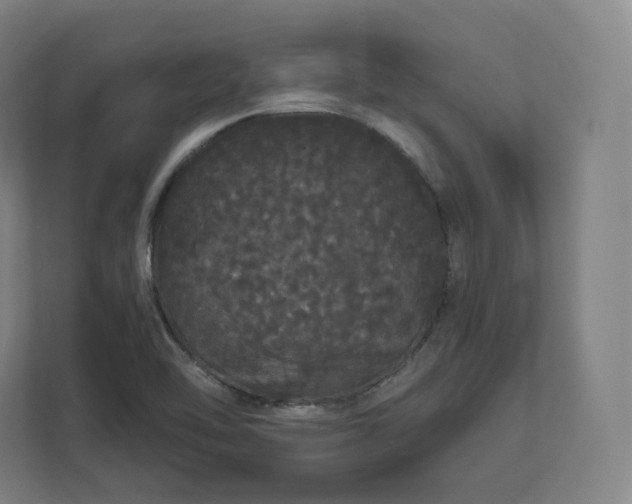 X0000112161462200908211424