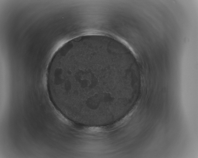 X0000112161463200908211424