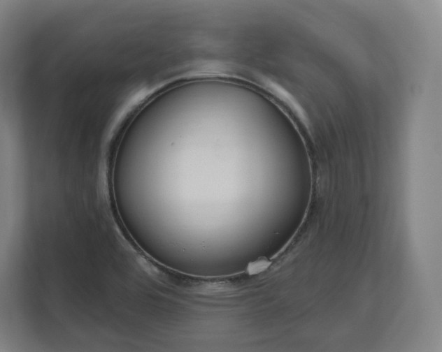 X0000112161464200908211424