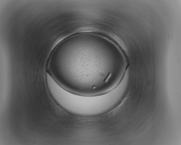 X0000112161465200908211424