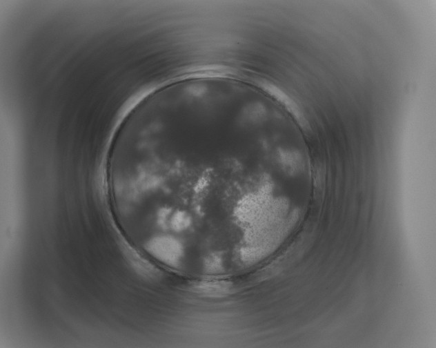 X0000112161466200908211424