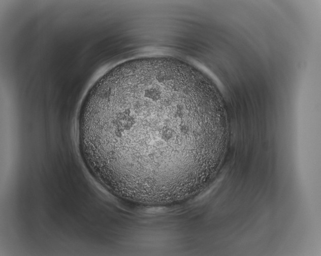 X0000112161467200908211424