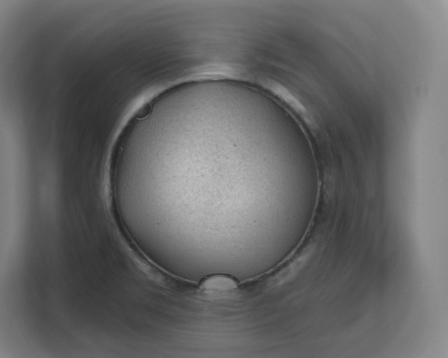X0000112161469200908211424