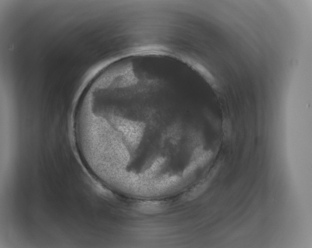 X0000112161470200908211424