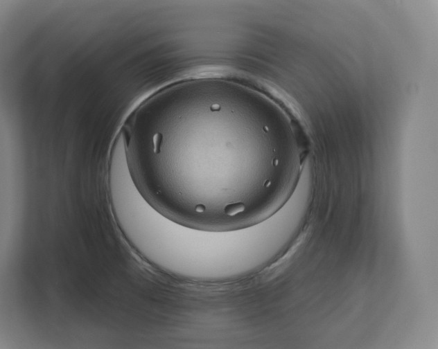 X0000112161473200908211424