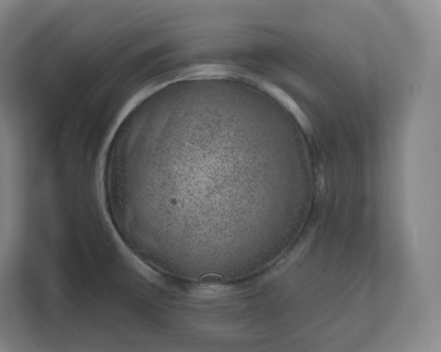 X0000112161475200908211424