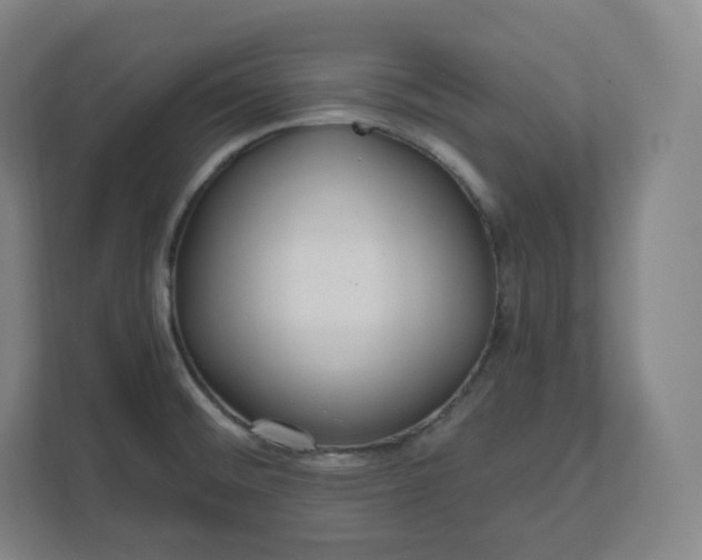 X0000112161476200908211424