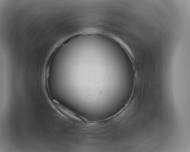 X0000112161477200908211424