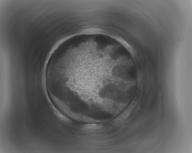 X0000112161478200908211424