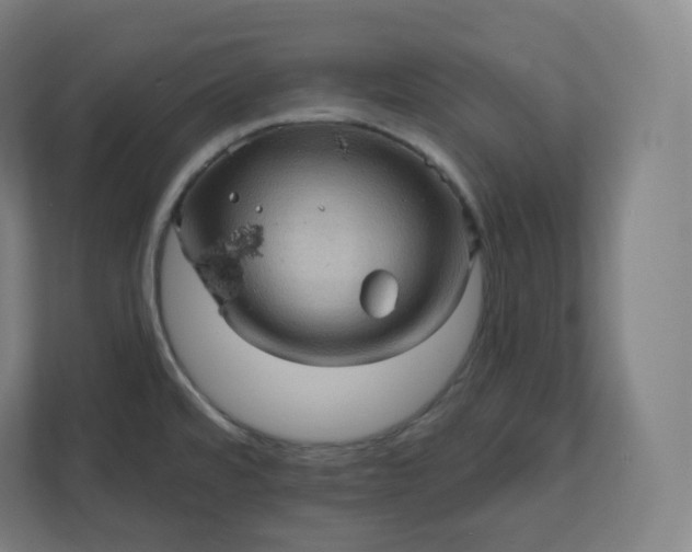 X0000112161480200908211424