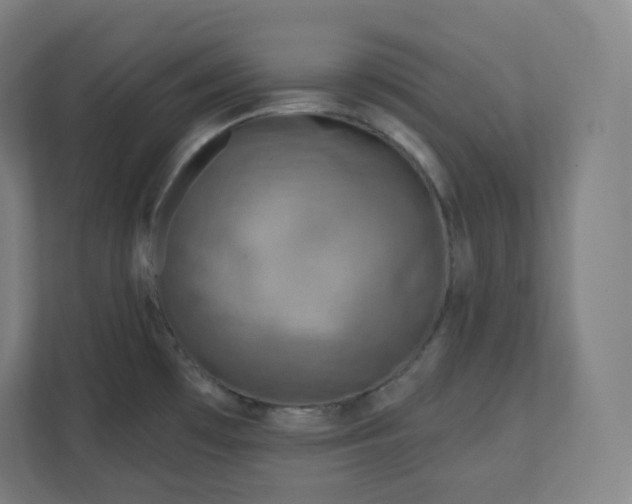 X0000112161481200908211424