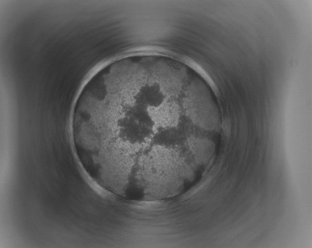 X0000112161482200908211424