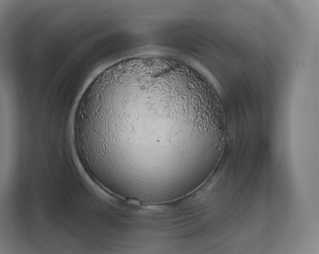 X0000112161483200908211424