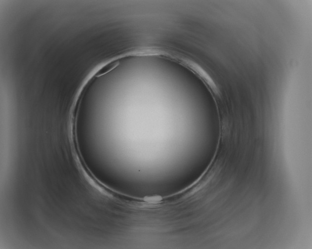 X0000112161484200908211424
