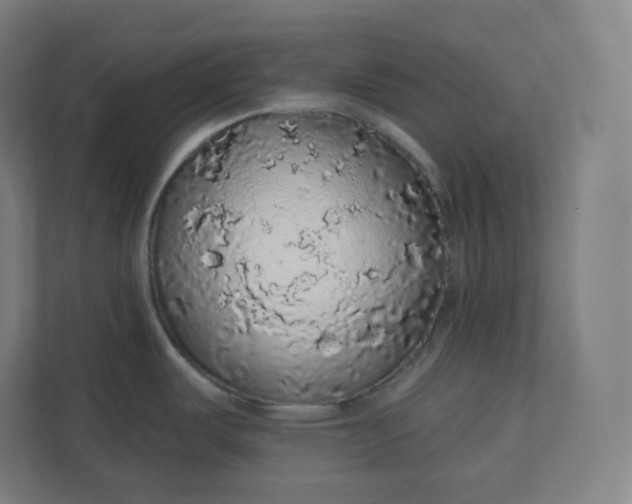 X0000112161487200908211424