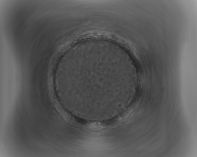 X0000112161489200908211423
