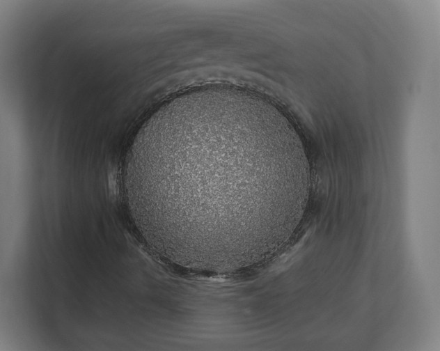 X0000112161490200908211423