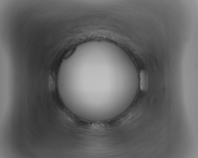 X0000112161491200908211423