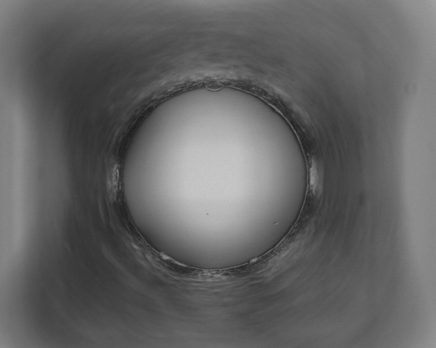 X0000112161492200908211423