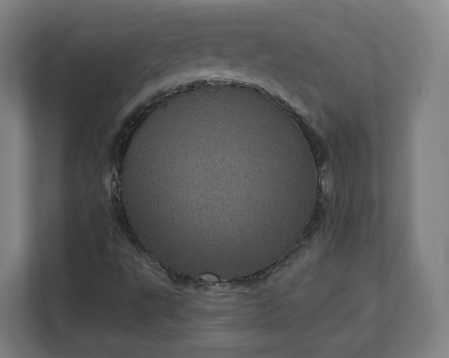 X0000112161495200908211423