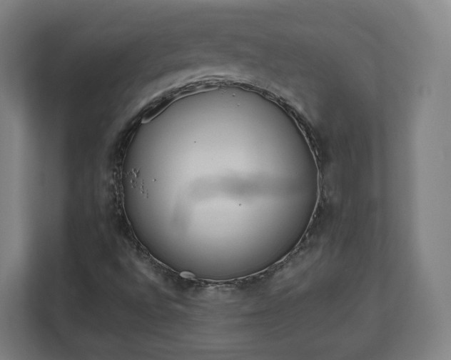 X0000112161496200908211423