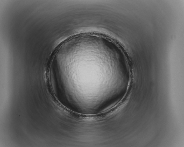 X0000112161497200908211423