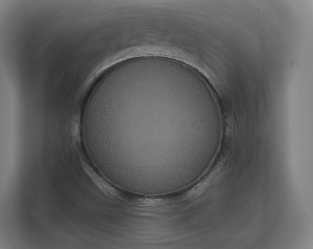 X0000112161499200908211424