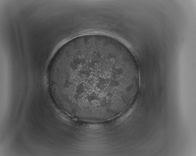 X0000112161501200908211424