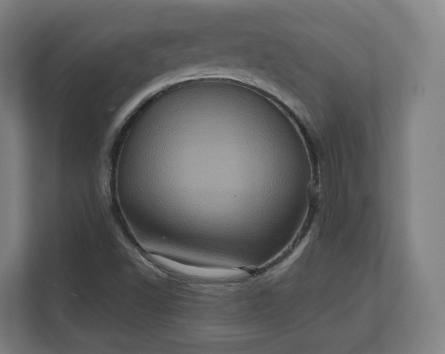 X0000112161502200908211424