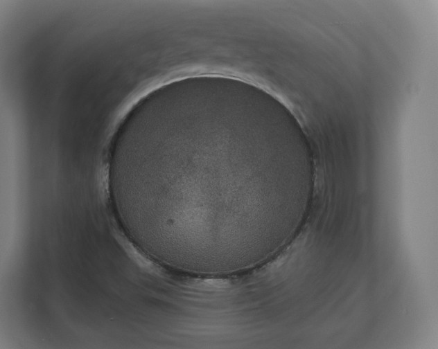 X0000112161503200908211424