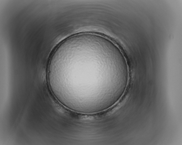 X0000112161505200908211424