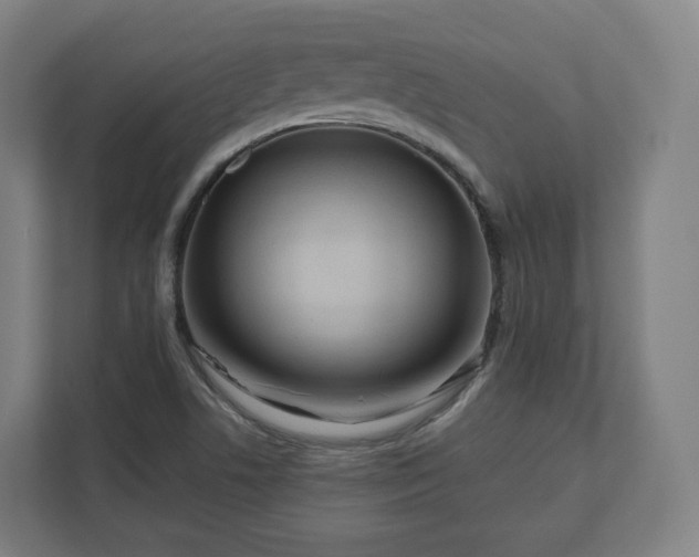 X0000112161506200908211424