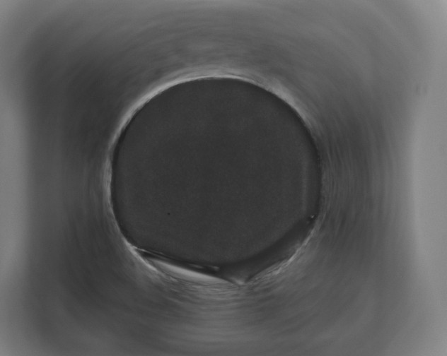 X0000112161508200908211424