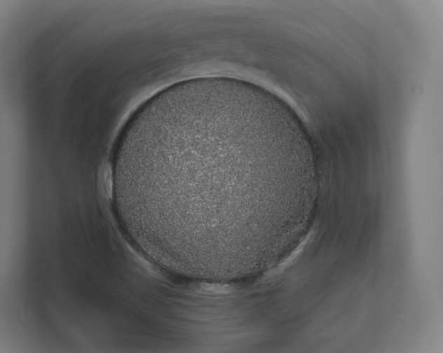 X0000112161509200908211424