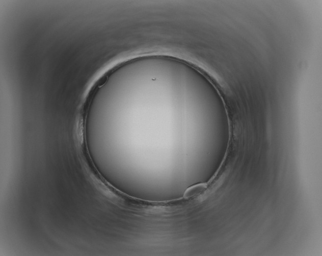 X0000112161510200908211424