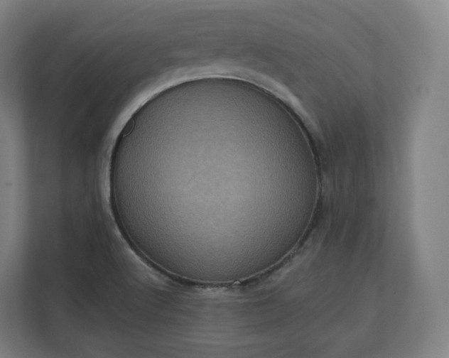 X0000112161512200908211424