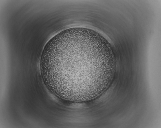 X0000112161513200908211424