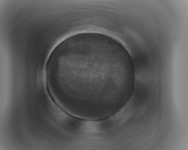 X0000112161514200908211424