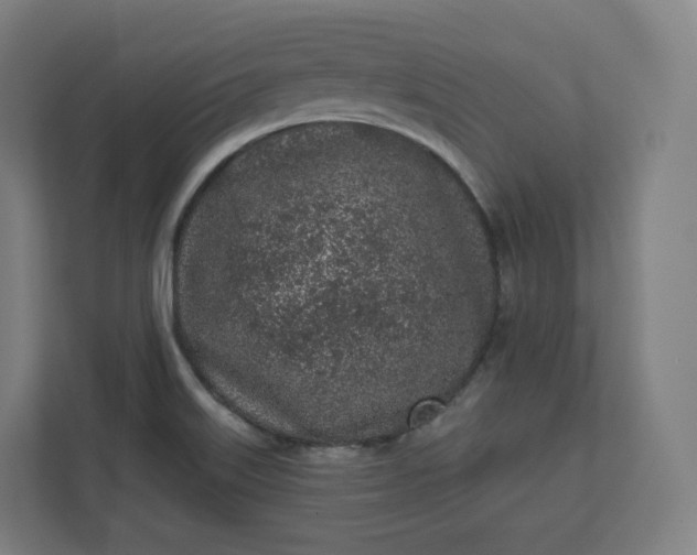 X0000112161515200908211424