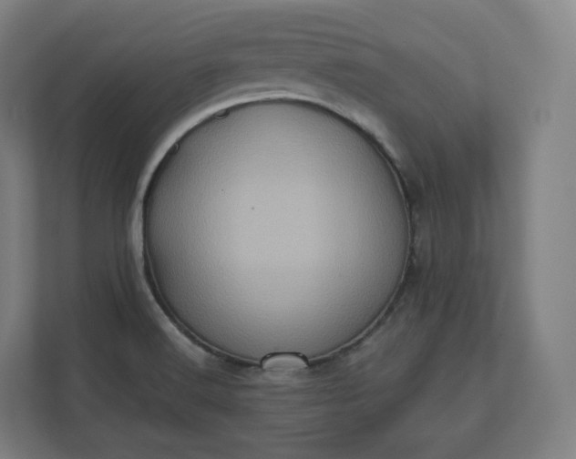 X0000112161516200908211424