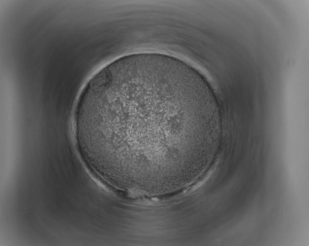 X0000112161517200908211424