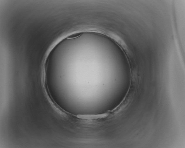 X0000112161520200908211424
