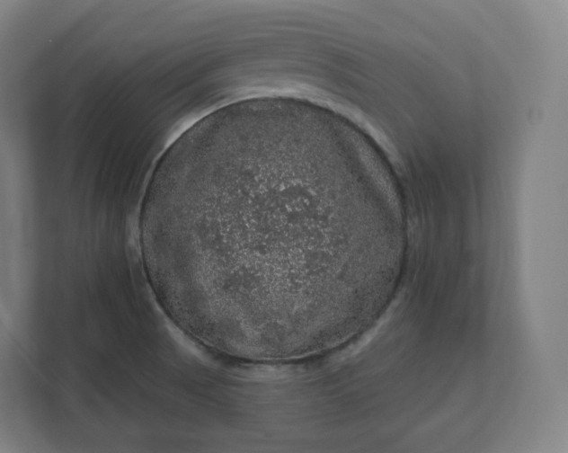 X0000112161521200908211424
