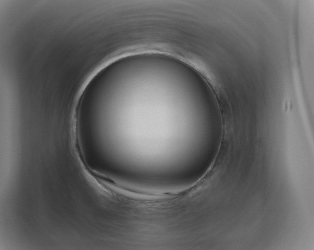 X0000112161524200908211424